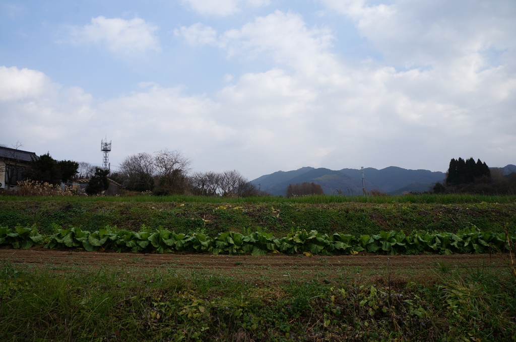 DSC01294