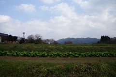 DSC01294