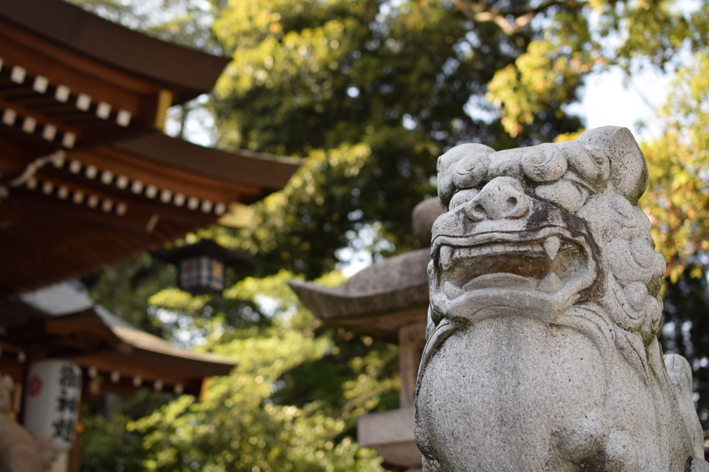 宝塚市 逆瀬川 伊和志津神社