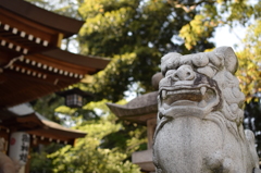 宝塚市 逆瀬川 伊和志津神社