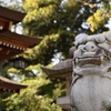 宝塚市 逆瀬川 伊和志津神社
