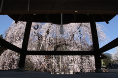 20140414-121