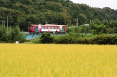 穂の長良川鉄道