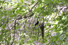 20140623-003