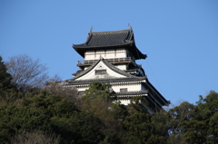 犬山城と桜Ⅶ