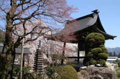 20140414-118