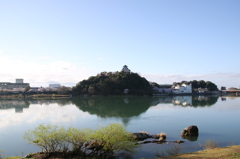 犬山城と桜Ⅺ
