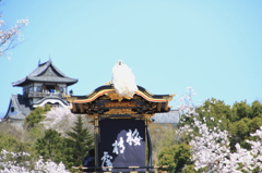 犬山祭りⅠ