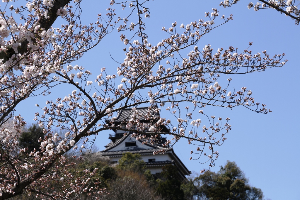 20140331-023