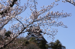 20140331-023