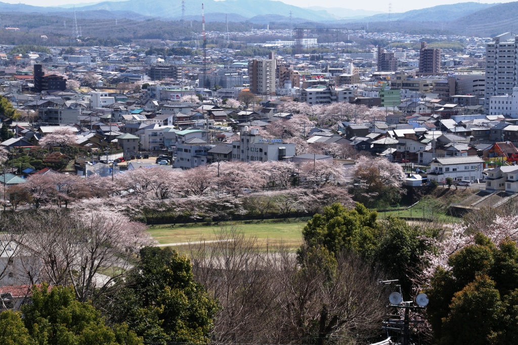 20140331-075