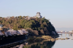 犬山城と桜Ⅱ