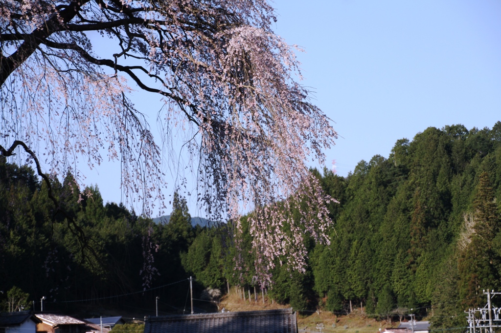 20140405-028