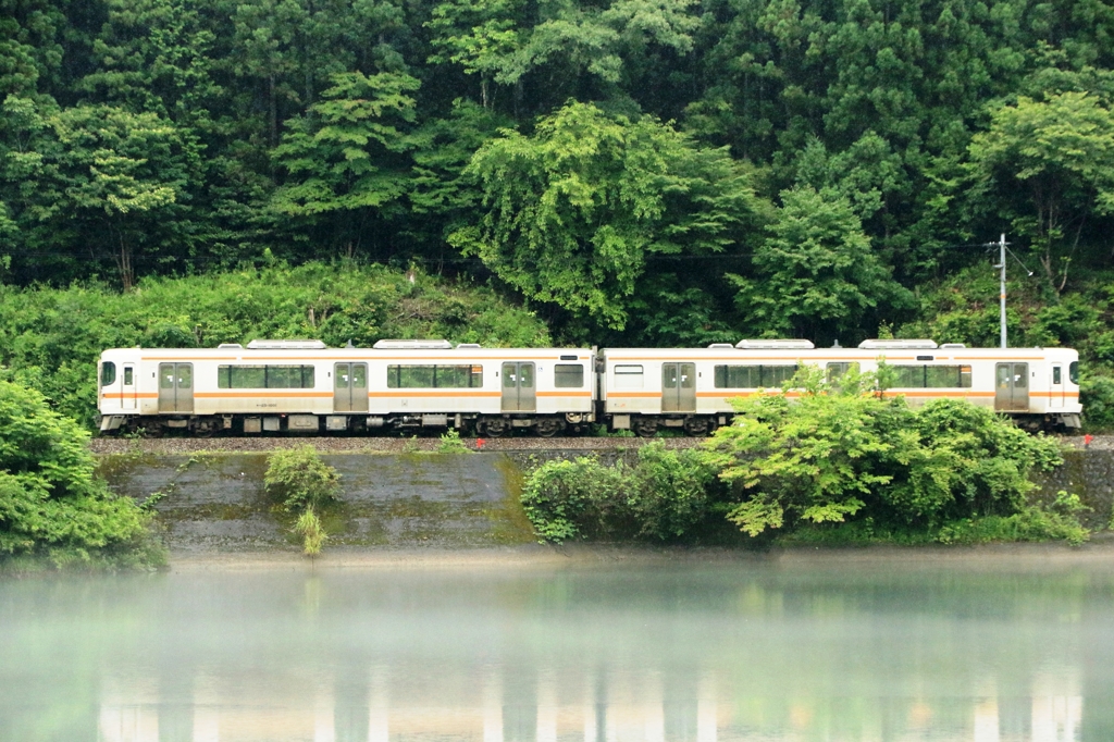 雨の高山本線Ⅱ