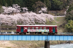 満開と長良川鉄道Ⅱ