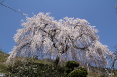 20140414-081