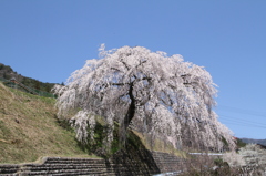20140414-068