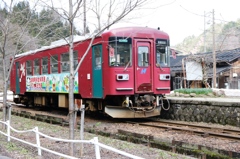 固い蕾と長良川鉄道Ⅱ