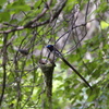 20140623-008