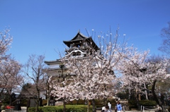 20140331-052