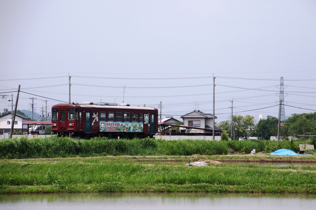 初夏の長良川鉄道Ⅸ