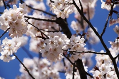 20140331-101
