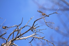 20150120-043