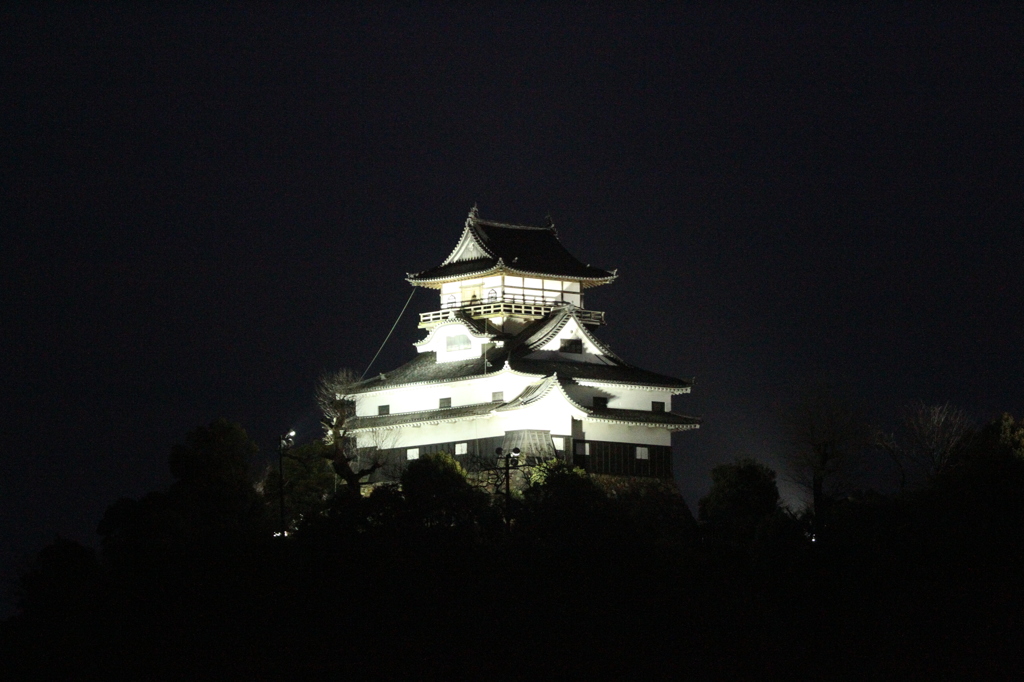 夜の犬山城