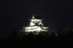 夜の犬山城