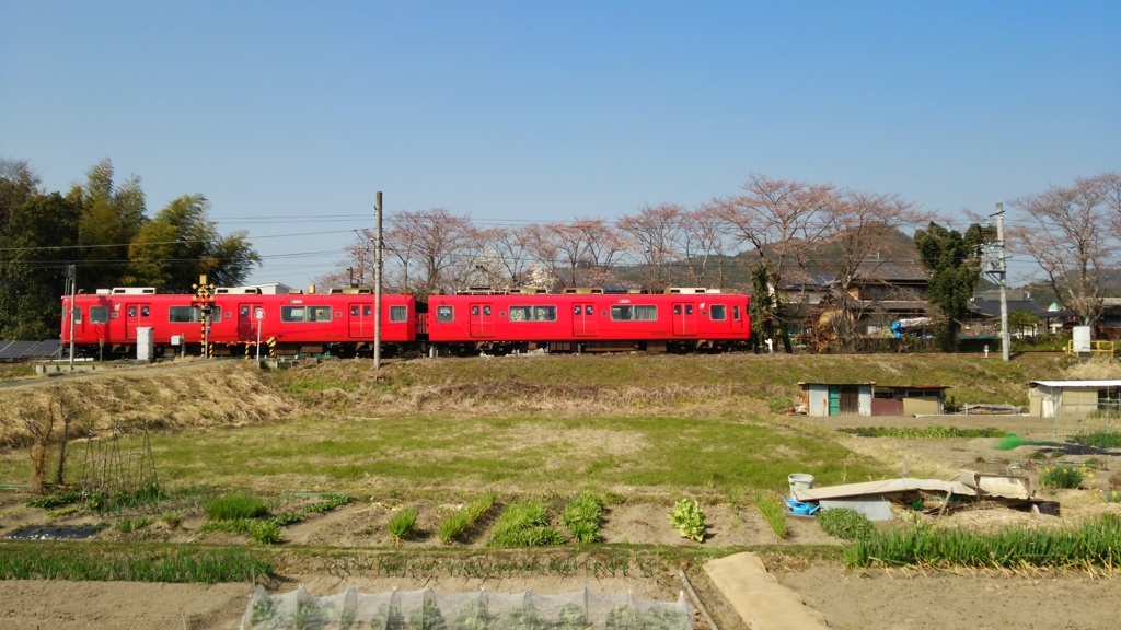 赤が往く