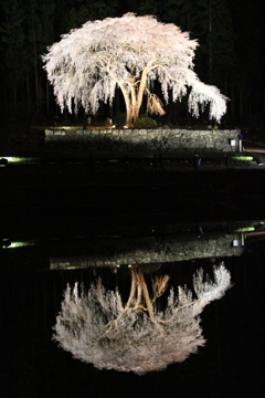 20140405-037n