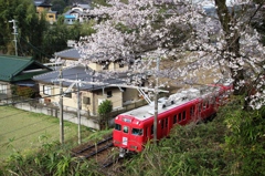 さくらと赤Ⅰ
