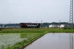 初夏の長良川鉄道Ⅷ