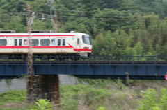 橋梁を渡る白