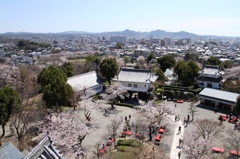 20140331-067