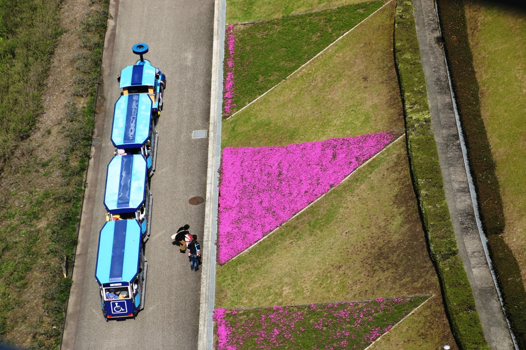 公園列車