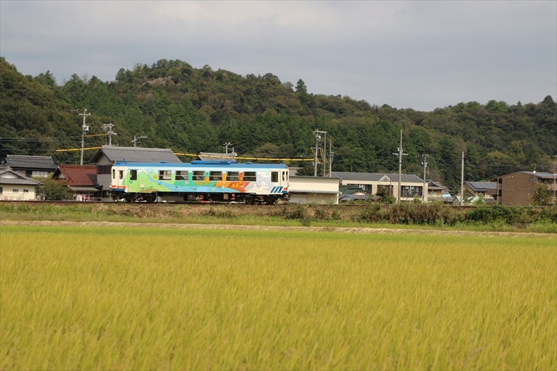 穂の長良川鉄道Ⅱ