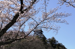 20140331-024
