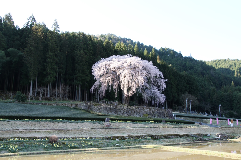 20140405-007