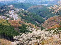 吉野上千本Ⅴ