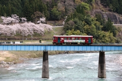 満開と長良川鉄道Ⅰ