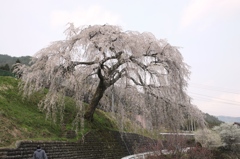 岩太郎Ⅰ