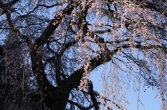 20140405-015
