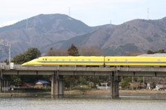 Pond & Yellow Ⅲ