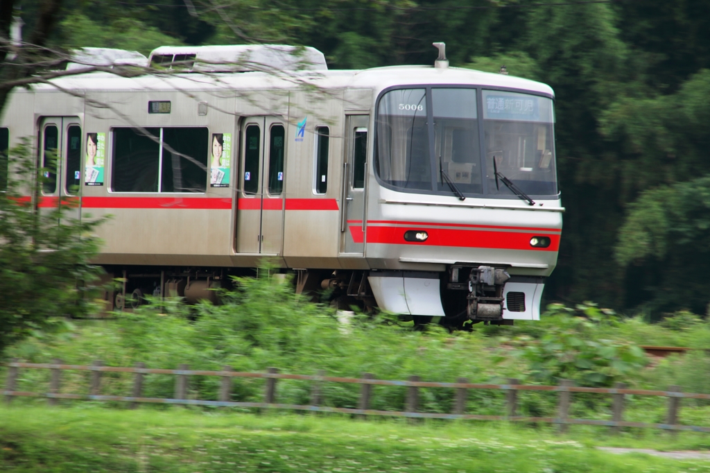 走る白