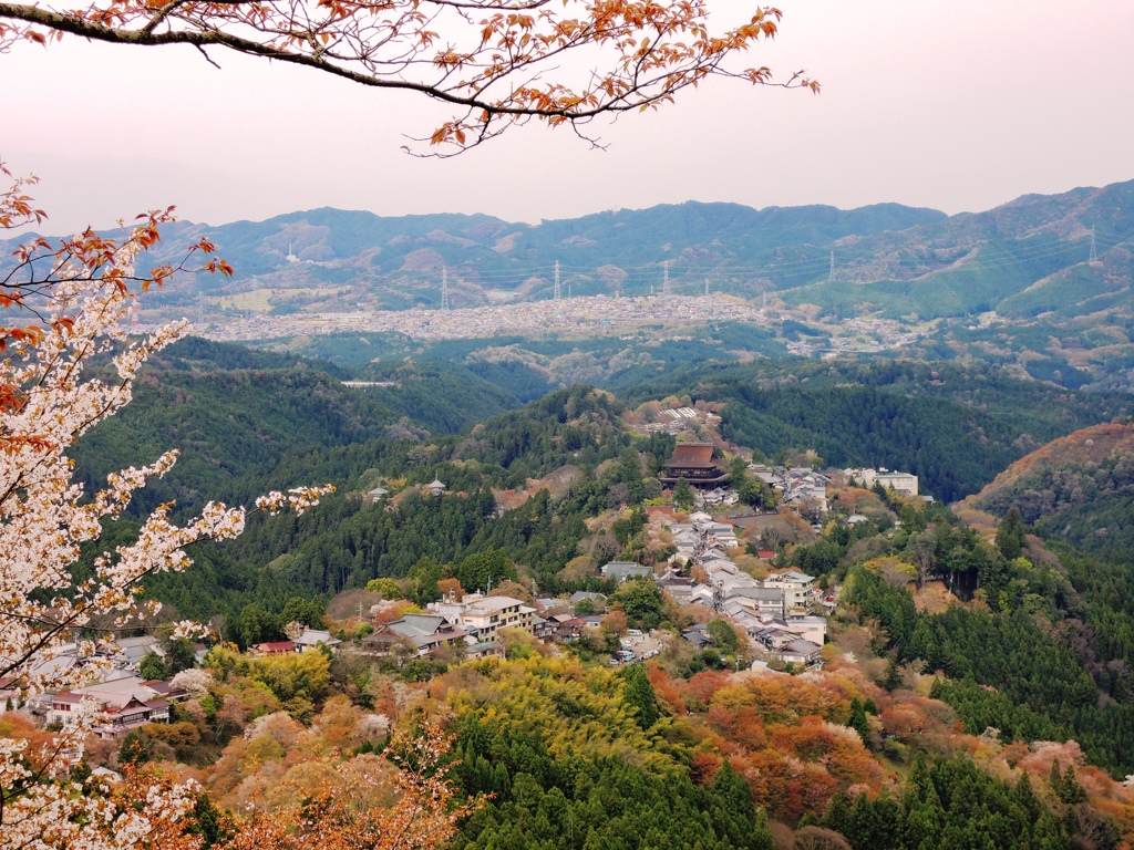 吉野Ⅶ