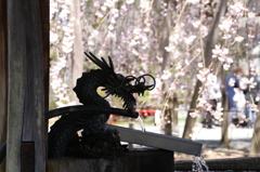 20140414-108