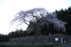 20140405-022