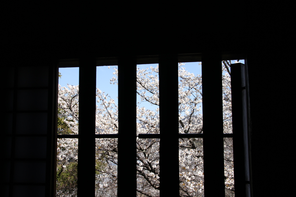 20140331-056