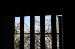 20140331-056